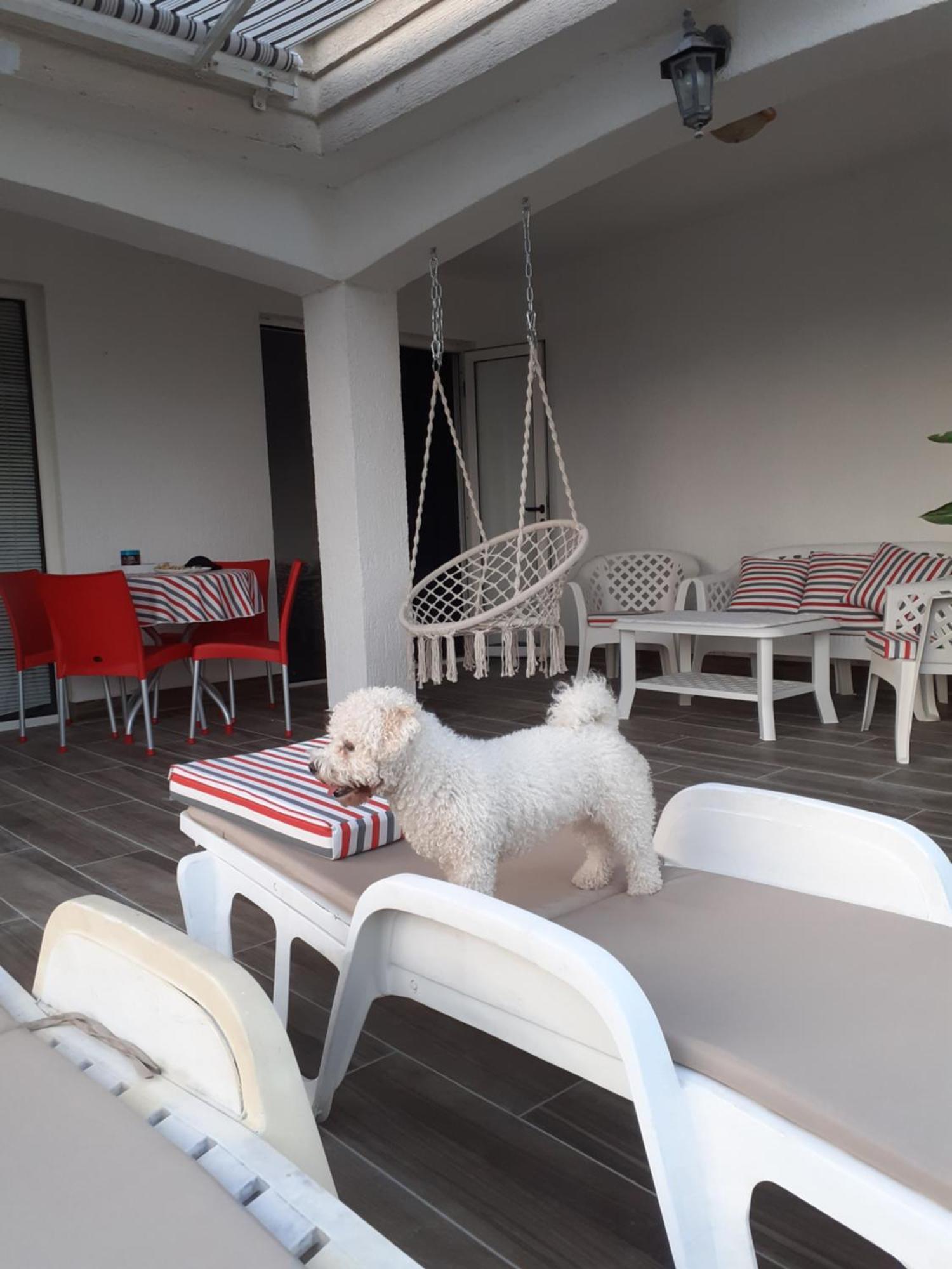 Guest House Cvoro Herceg Novi Pokój zdjęcie