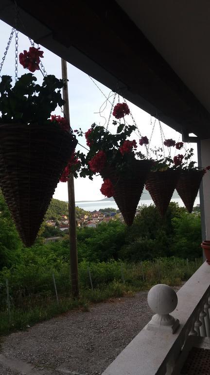 Guest House Cvoro Herceg Novi Zewnętrze zdjęcie