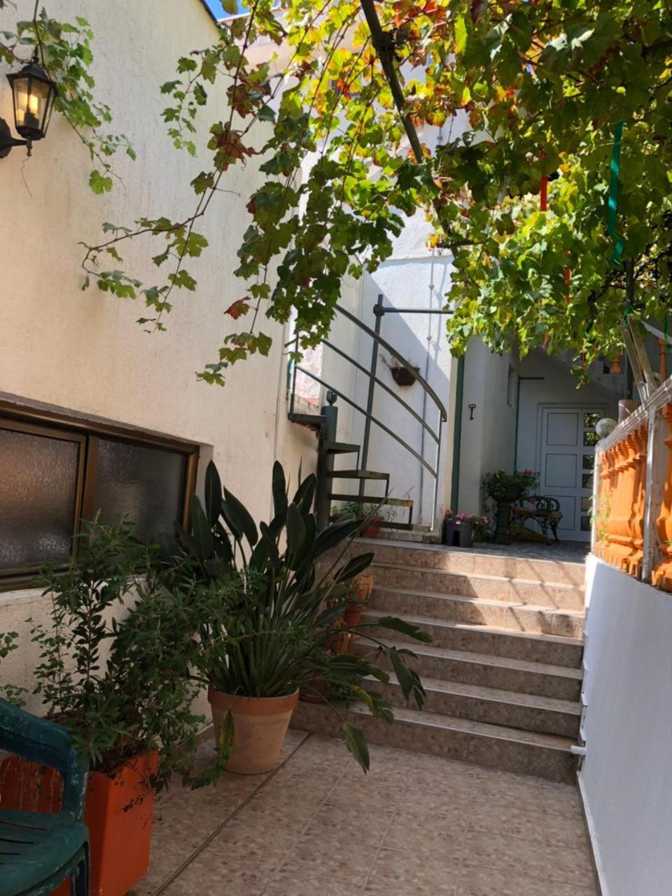 Guest House Cvoro Herceg Novi Zewnętrze zdjęcie
